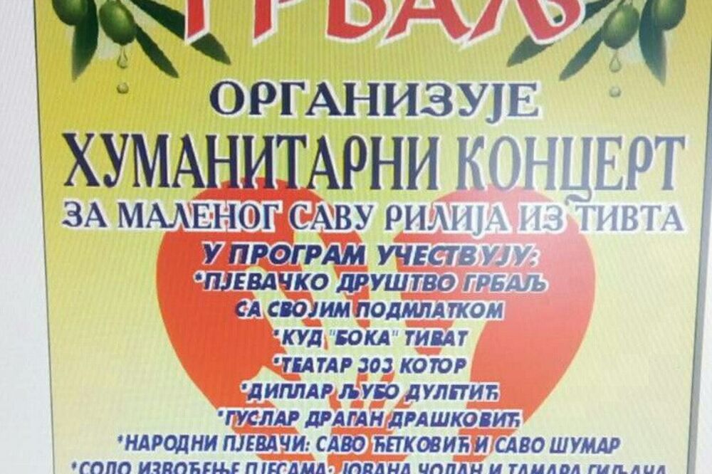 Humanitarni koncert, Foto: Siniša Luković