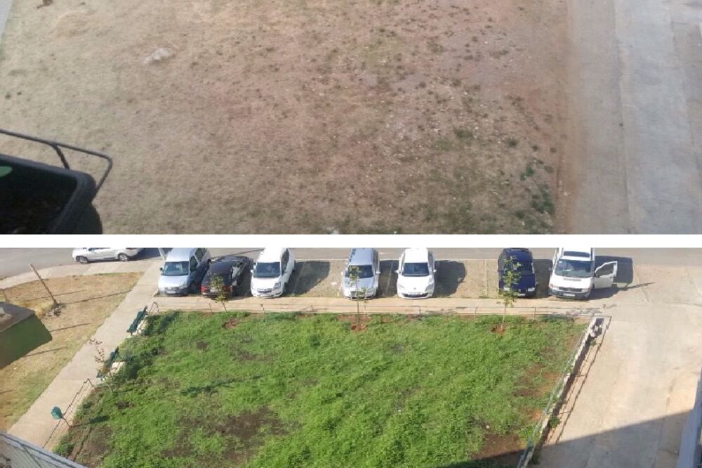 dvorište, Zabjelo, Foto: Čitalac "Vijesti"