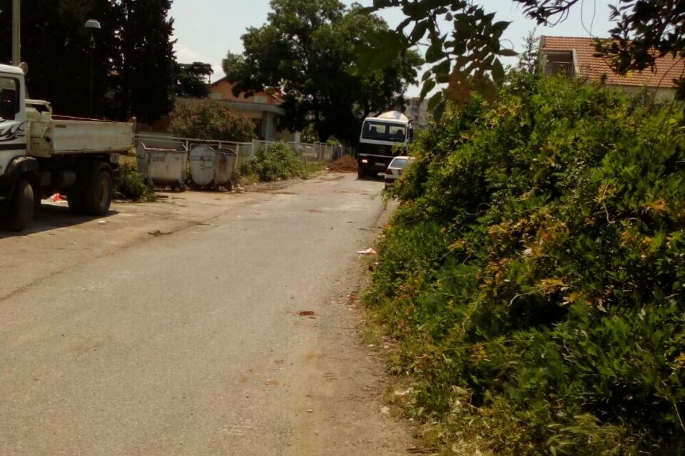 Ulica Aleksandra Puškina, Konik, Foto: Milica Đurović