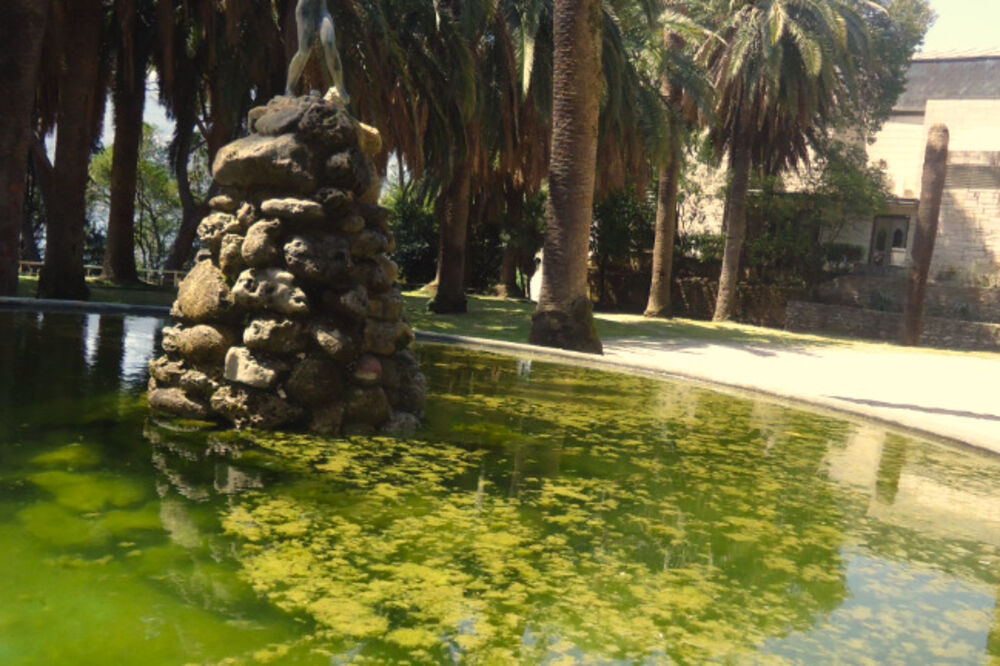 Herceg Novi, Foto: Slavica Kosić