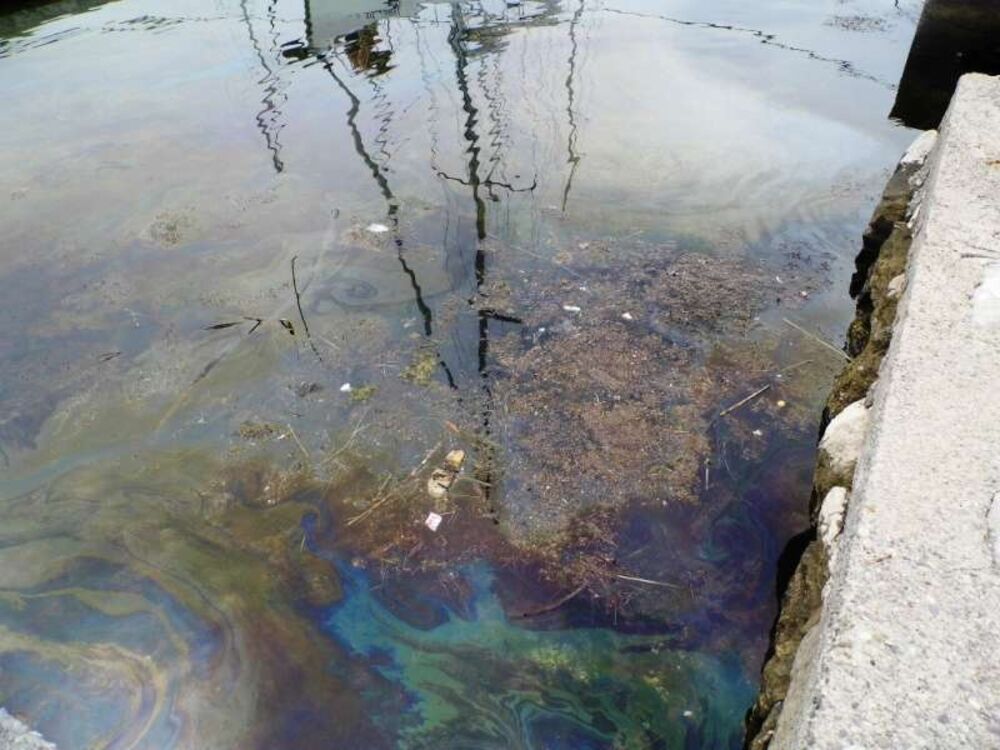 smeće u moru, Tivat