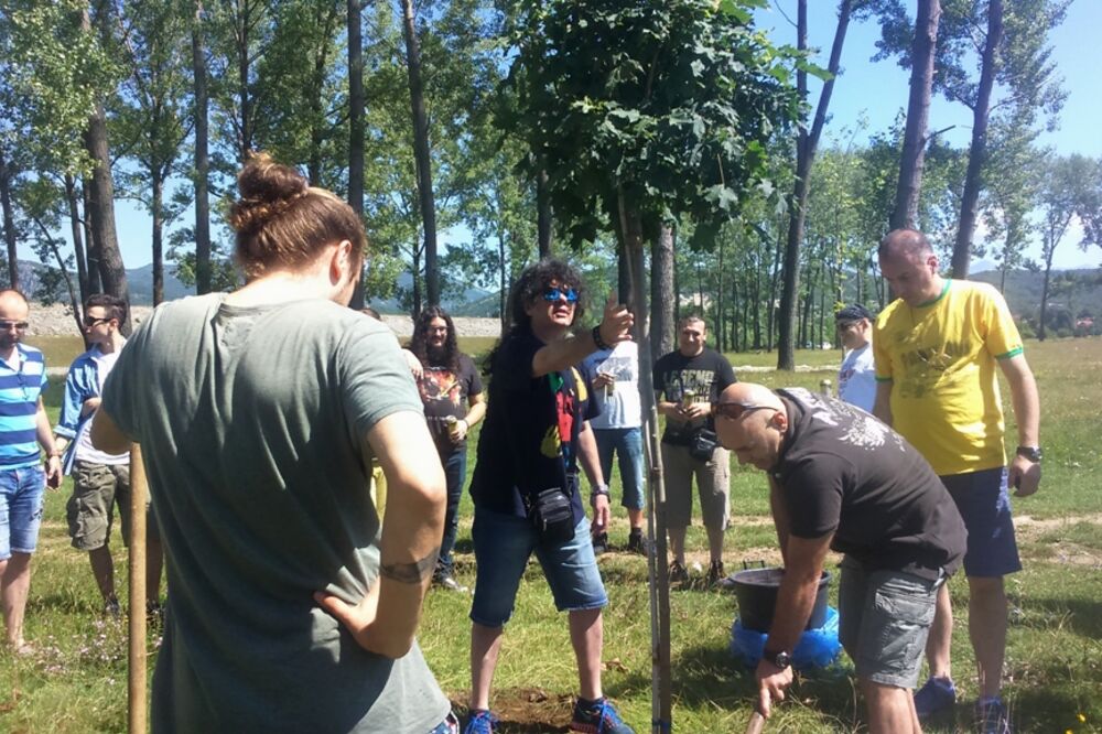 Lake fest sadnja, Foto: Svetlana Mandić