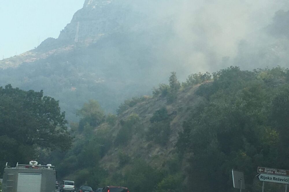 Reževići, požar, Foto: Čitalac "Vijesti"