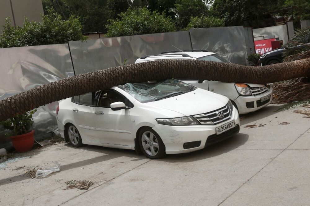 oluja, drvo, Foto: Reuters