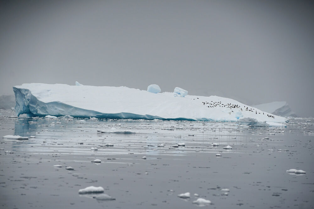 Antarktik, led, Foto: Reuters