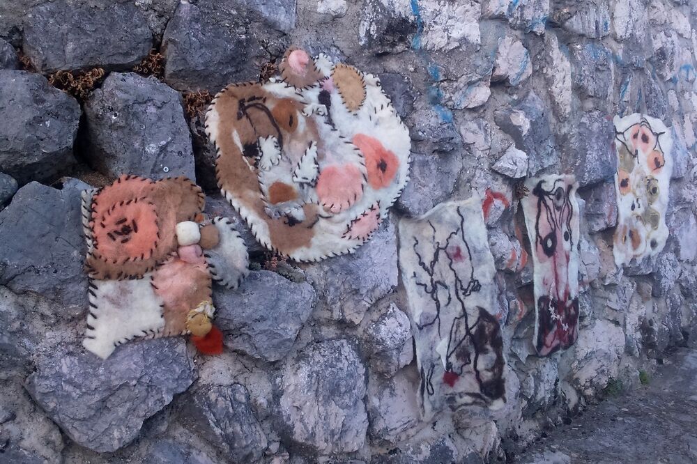 Nikšić vuna, Foto: Svetlana Mandić