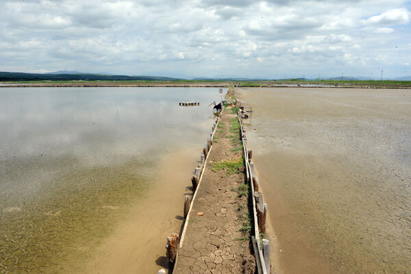 Izvještaj o napretku u oblasti životne sredine: Vlada zadovoljna,...