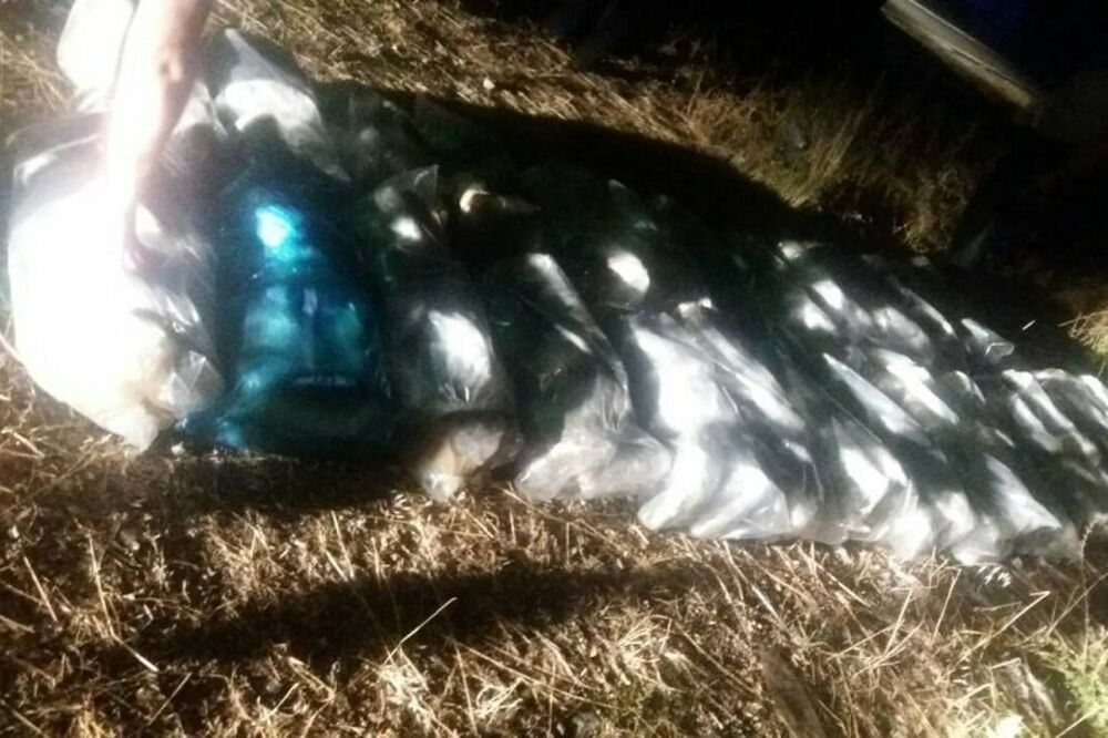 droga neum, Foto: Twitter