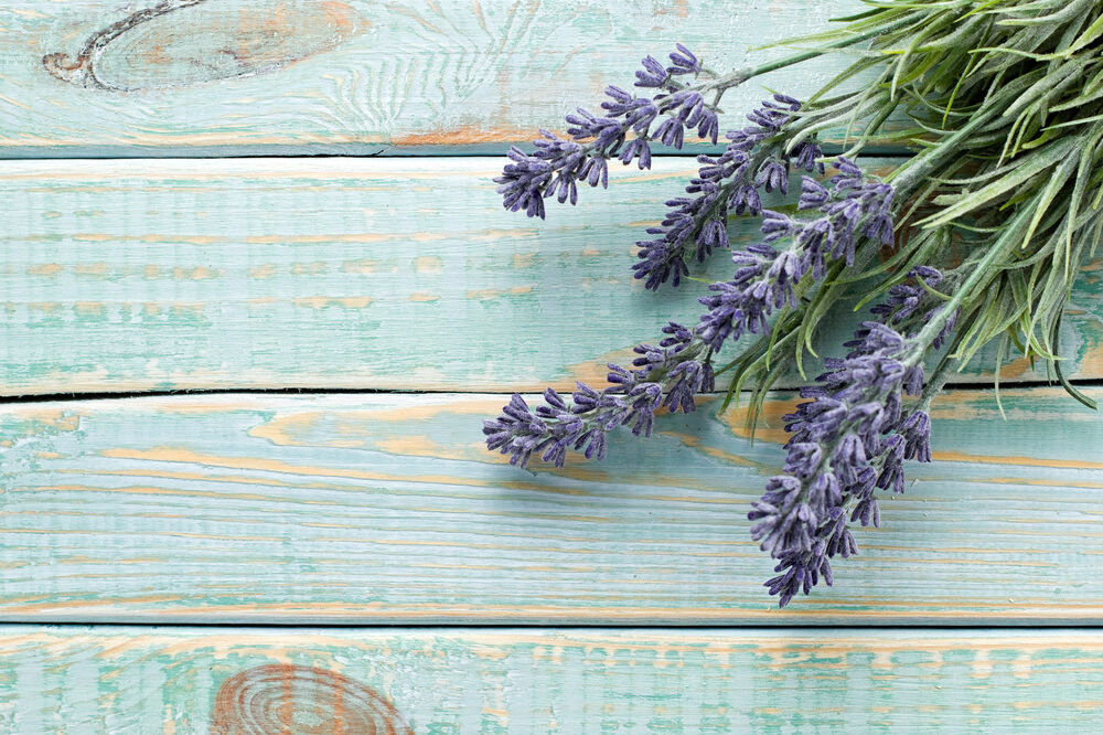lavanda, Foto: Shutterstock.com