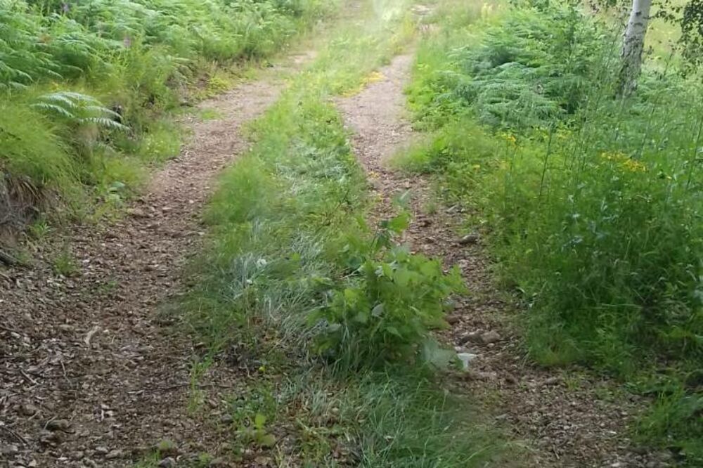 Ilinčići livada, Foto: Privatna arhiva