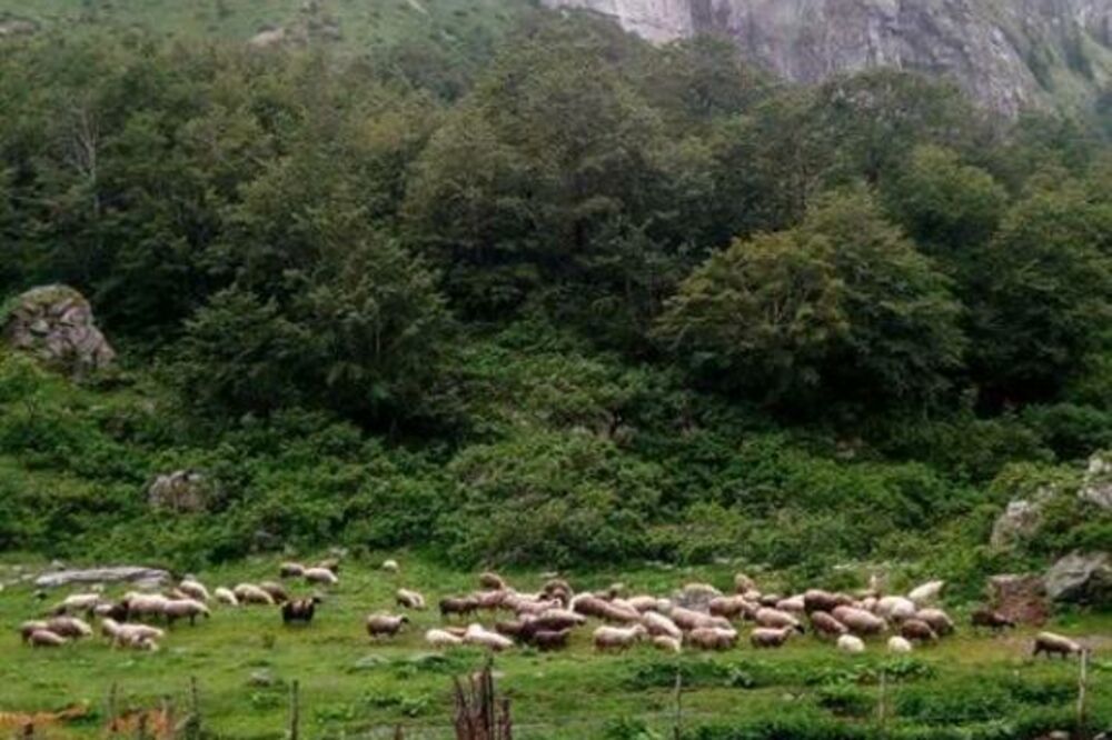 Kolašin, katuni, Foto: Privatna arhiva