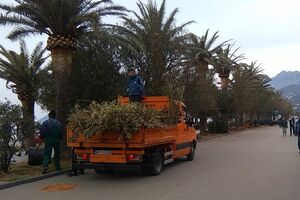 Bar: U sezoni će voziti po 340 kontejnera dnevno