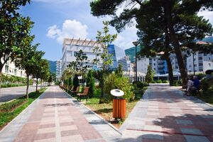 Tivat: Iz budžeta opet za stare projekte