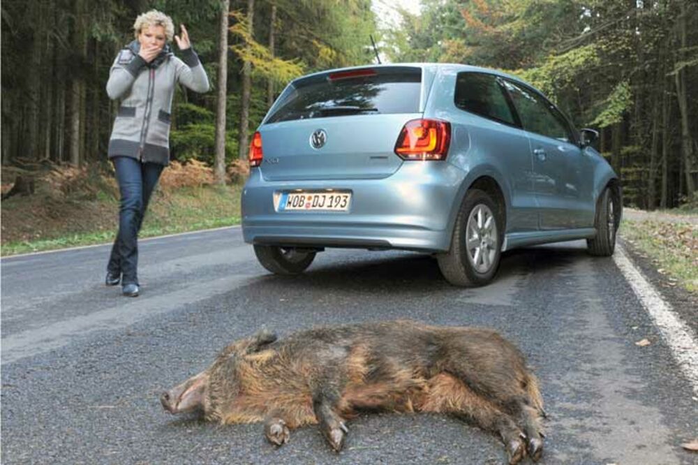 Ilustracija, Foto: Kfz.net