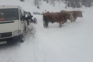 Snijeg odsjekao bjelopoljska sela Stožer i Ponikvice