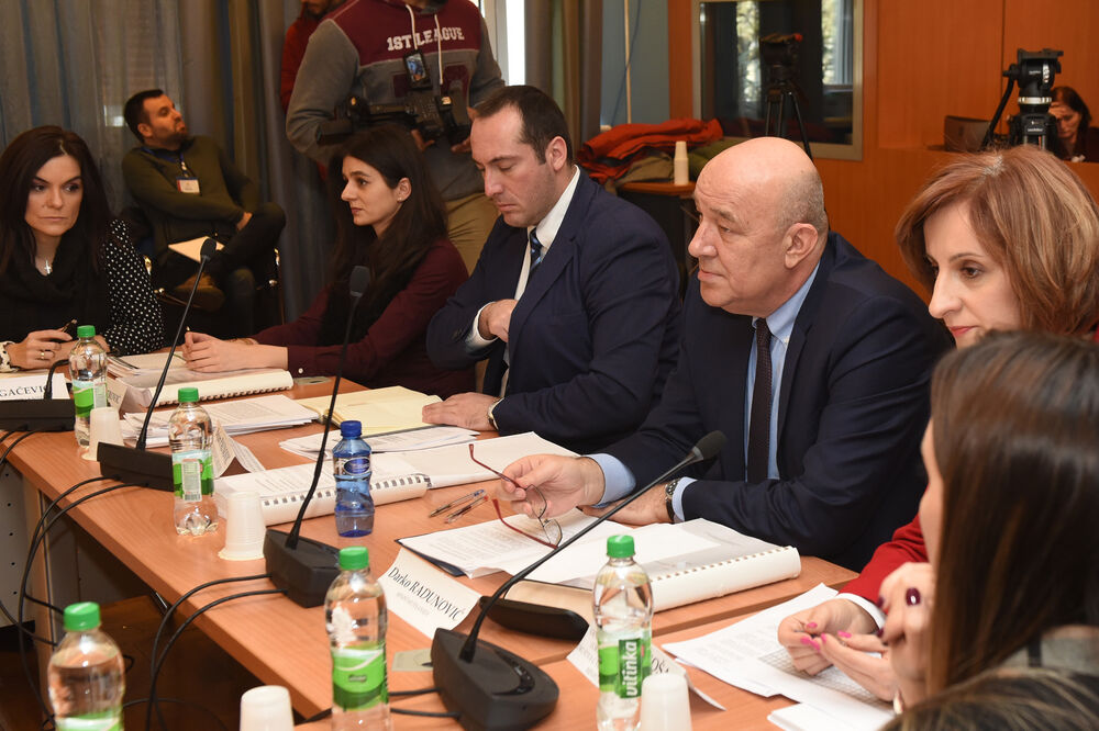 Sa današnje sjednice Odbora za ekonomiju, Foto: Savo Prelević