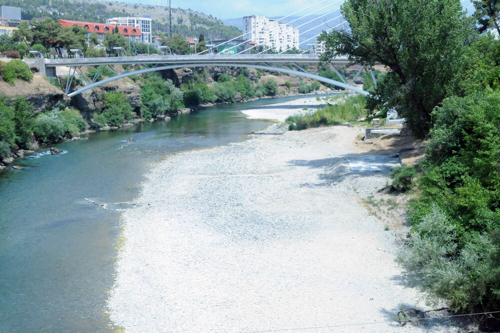 Ilustracija, Foto: Zoran Đurić