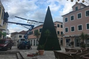 Herceg Novi: Stigla novogodišnja jelka