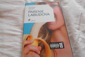 Parlamentarna književnost