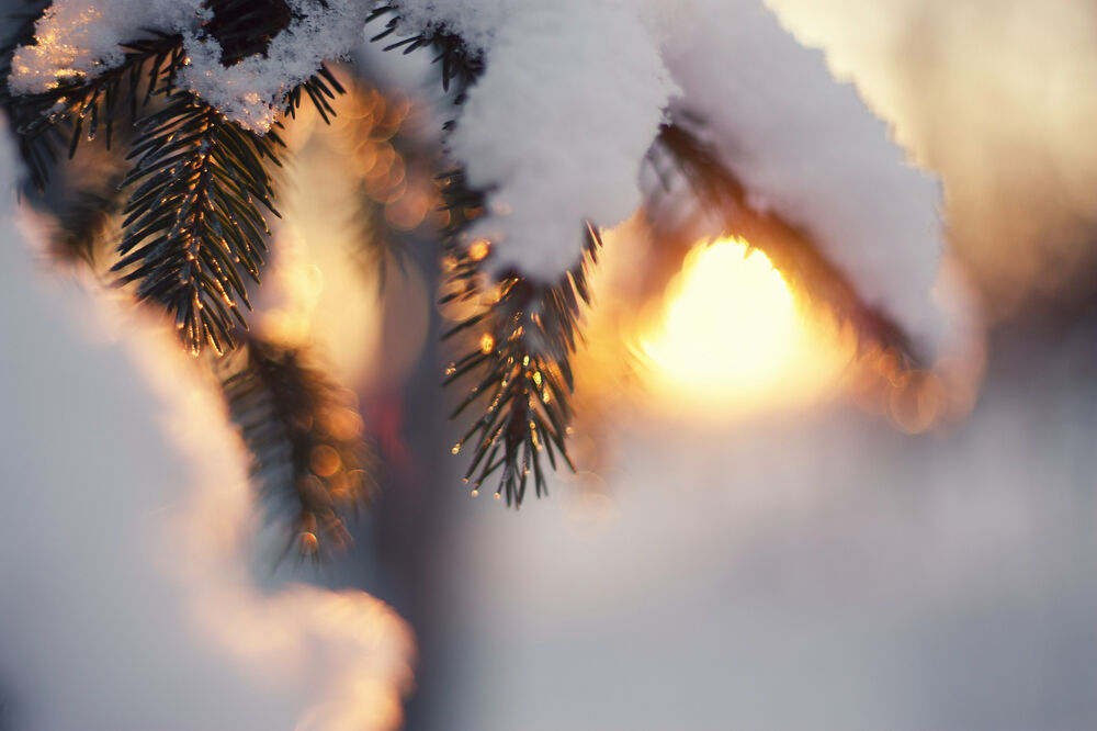 Ilustracija, Foto: Shutterstock