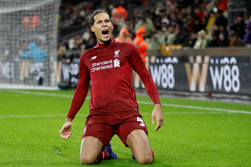 Oduševio Rednapa: Van Dajk, Foto: CARL RECINE