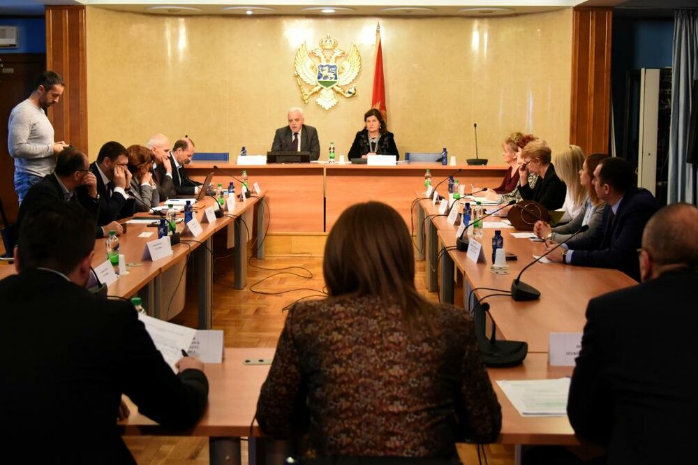 Sa konsultativnog saslušanja, Foto: Boris Pejović