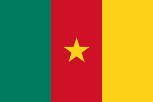 Kamerun: Separatisti ubili jednu, kidnapovali 15 osoba i spalili...