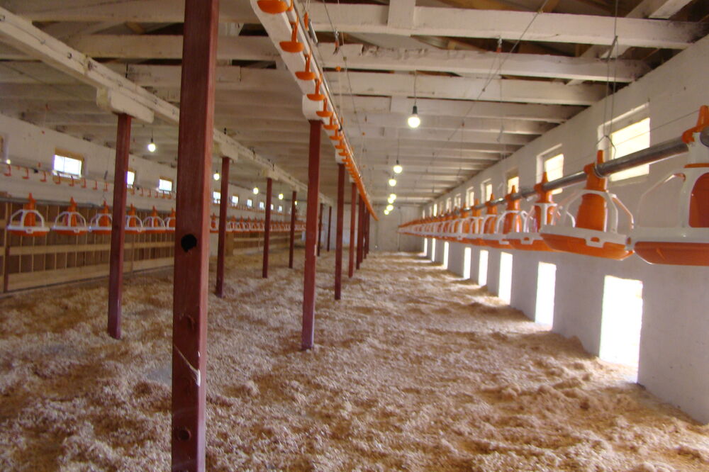 Rekonstruisane prostorije, Foto: ZIKS