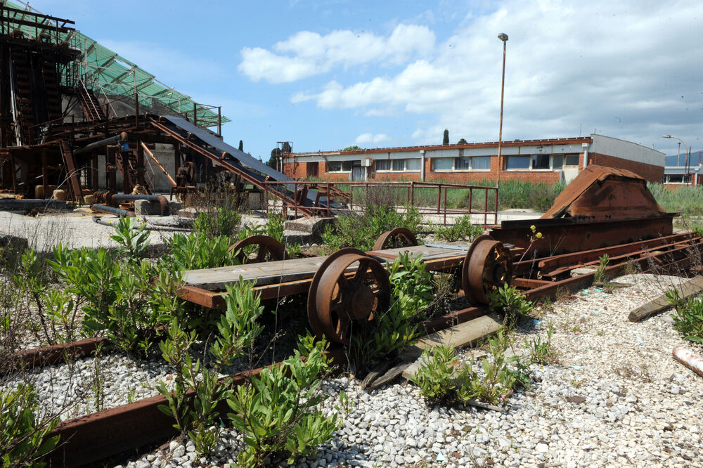 Može se računati na prihod do 30.000 eura: Solana Bajo Sekulić, Foto: Savo Prelević
