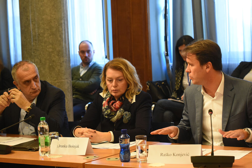 Odbor nastavlja sa radom: Sa prethodne sjednice, Foto: Savo Prelević