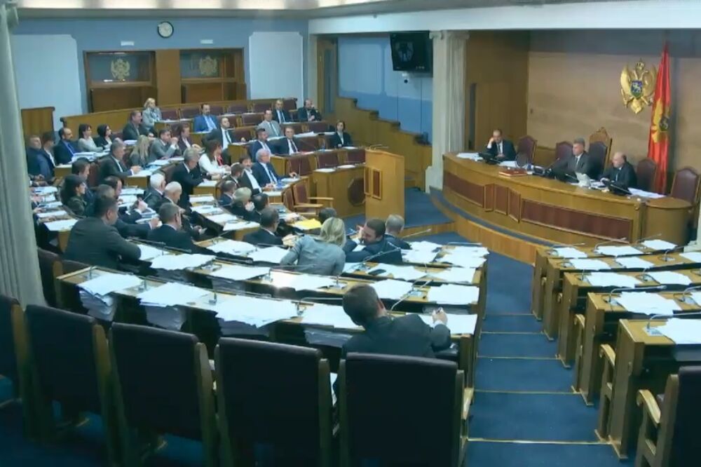 Sa sjednice, Foto: Screenshot (Youtube)