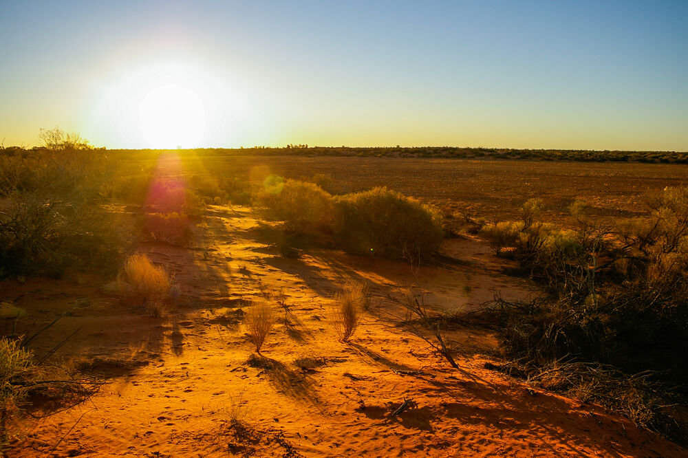 Australijska pustinja: Ilustracija, Foto: Shutterstock