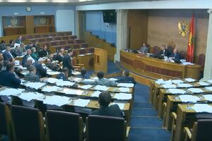 Usvojen Zakon o budžetu: Za Montenegro erlajns 5,5 miliona eura