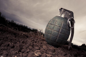 Kradljivca bombi traže među vojnicima