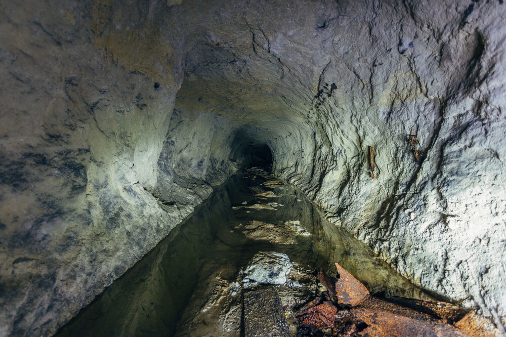 Ilustracija, Foto: Shutterstock