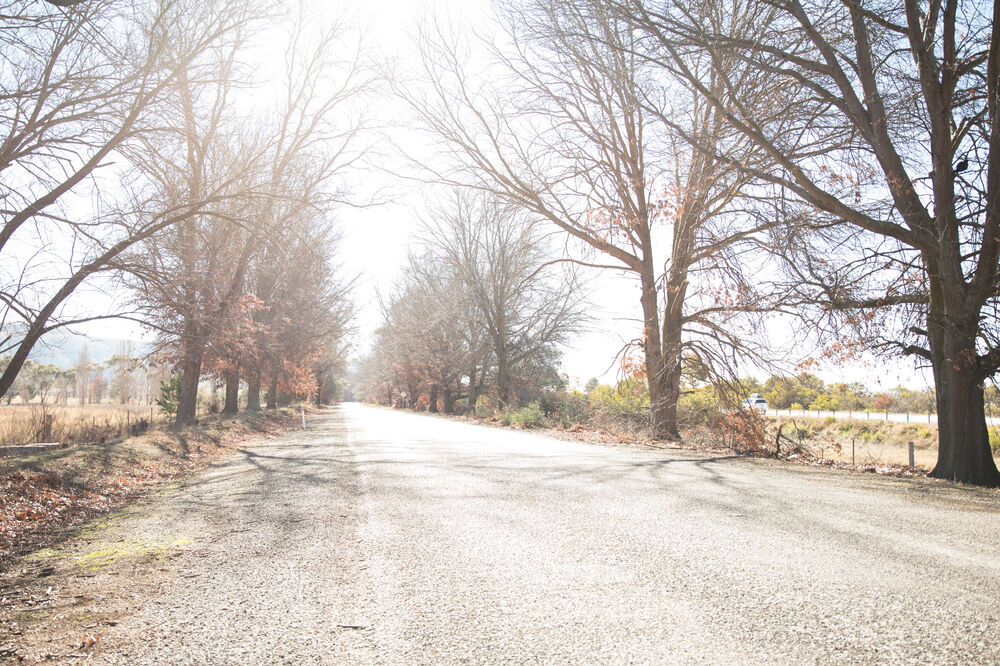 Ilustracija, Foto: Shutterstock