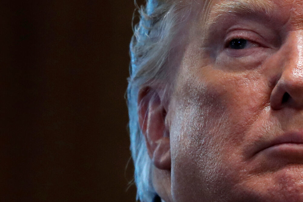 Tramp, Foto: Reuters