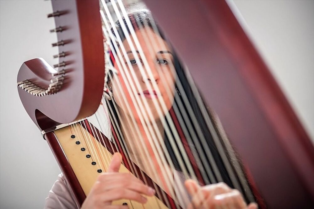 Svirala i sa šest harfistkinja: Milica Kankaraš, Foto: Privatna arhiva