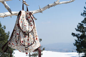 Učinite zimski raspust zabavnim