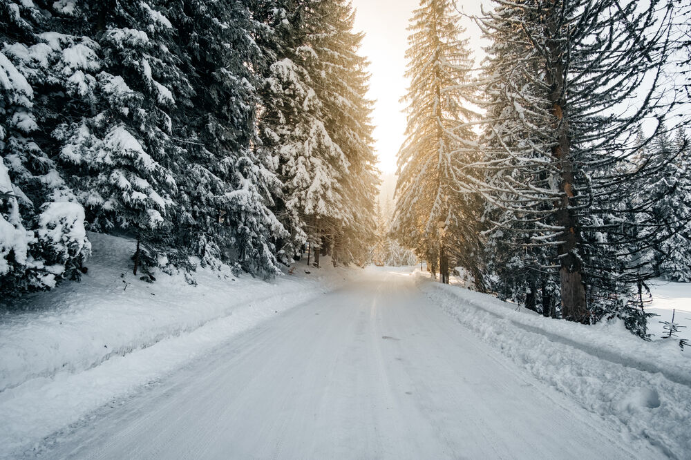 Ilustracija, Foto: Shutterstock