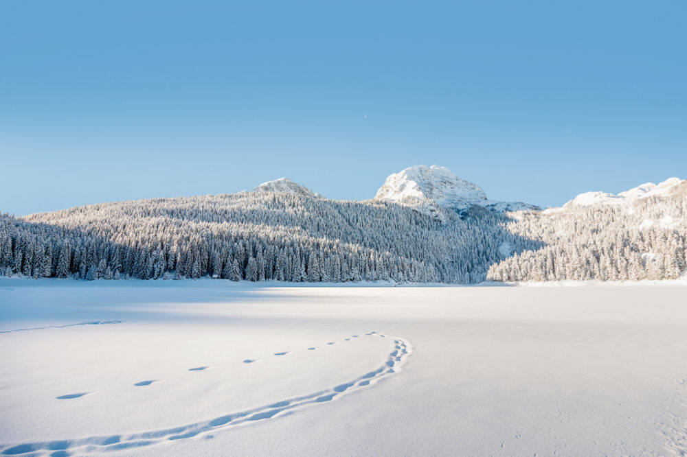 Detalj sa Žabljaka, Foto: Shutterstock