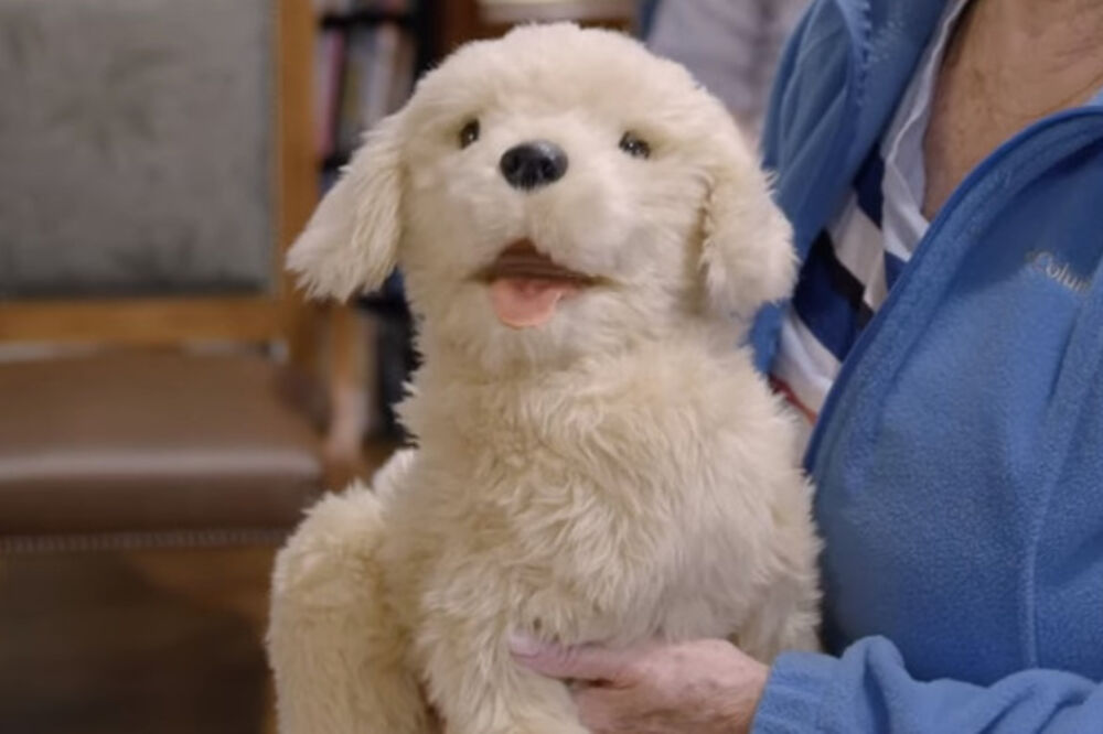 Ilustracija, Foto: Screenshot (Youtube)