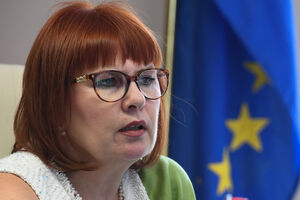 Pavličić: Presude suda u Strazburu državu koštale 114,3 hiljade...