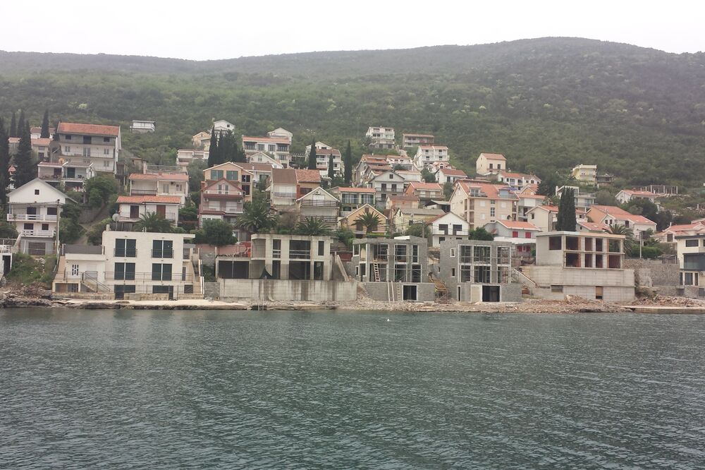 Vile u Krašićima (ilustracija), Foto: Siniša Luković