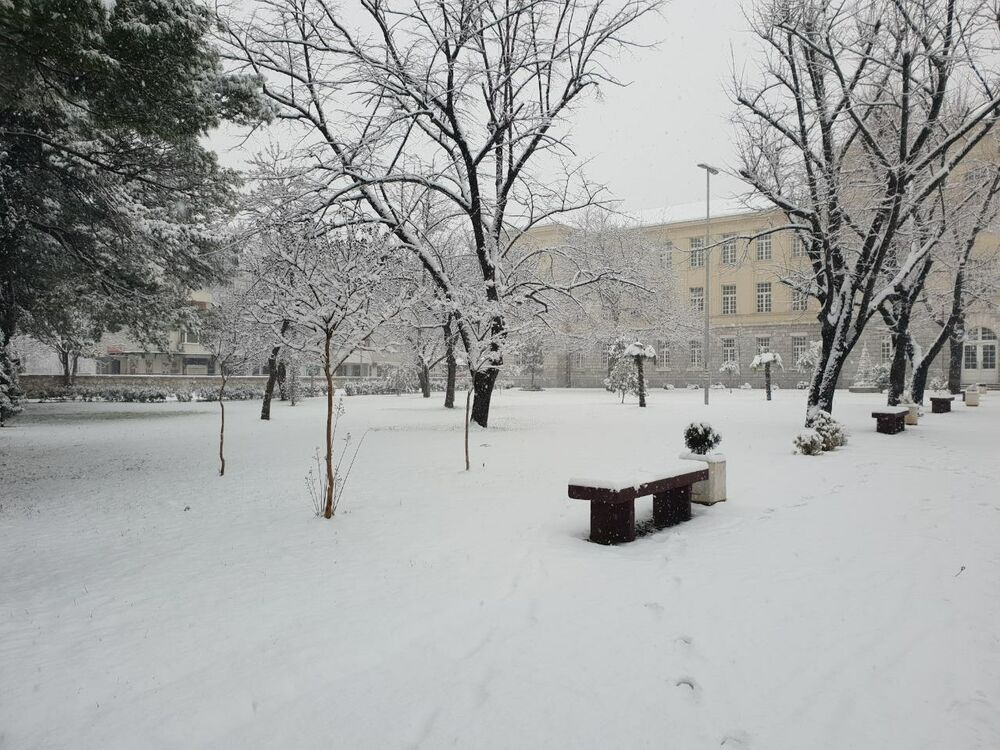 Prve pahulje su obradovale građane Podgorice još 8. januara kasno naveče, a već 9. ujutru cijeli grad je bio pokriven. Pokažite nam kako vaš dio grada izgleda pod snijegom tako što ćete poslati fotke na mail portal@vijesti.me ili na našu FB ili Instagram stranicu!