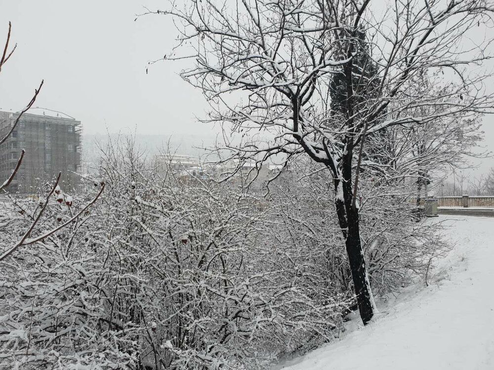 Prve pahulje su obradovale građane Podgorice još 8. januara kasno naveče, a već 9. ujutru cijeli grad je bio pokriven. Pokažite nam kako vaš dio grada izgleda pod snijegom tako što ćete poslati fotke na mail portal@vijesti.me ili na našu FB ili Instagram stranicu!