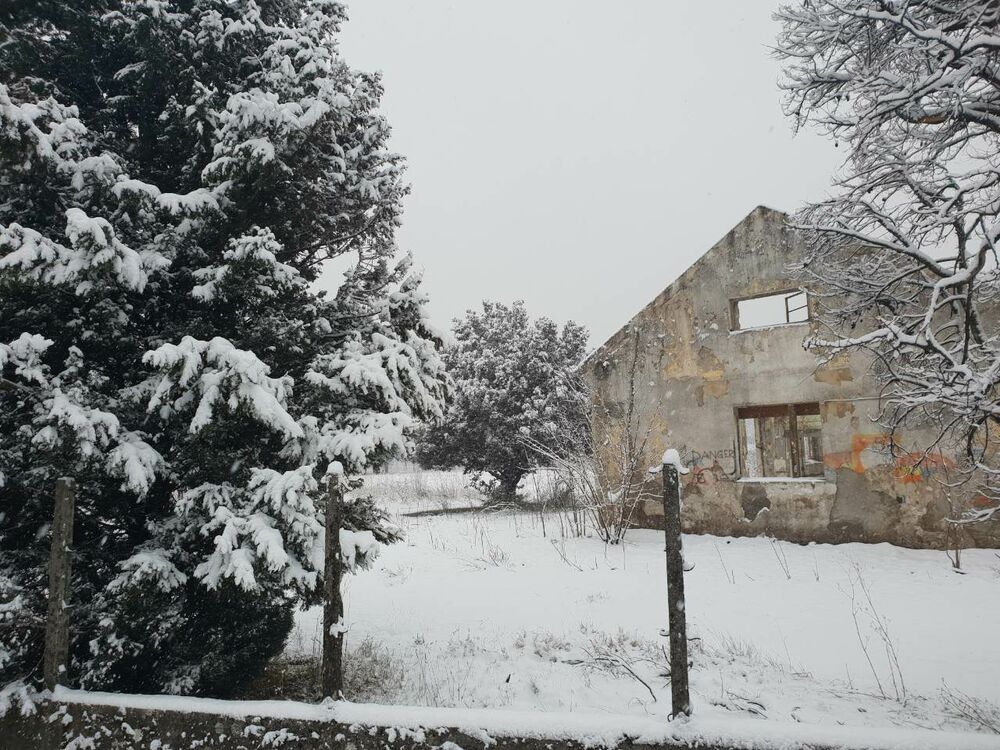 Prve pahulje su obradovale građane Podgorice još 8. januara kasno naveče, a već 9. ujutru cijeli grad je bio pokriven. Pokažite nam kako vaš dio grada izgleda pod snijegom tako što ćete poslati fotke na mail portal@vijesti.me ili na našu FB ili Instagram stranicu!