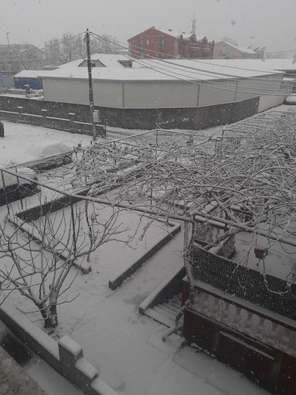 Prve pahulje su obradovale građane Podgorice još 8. januara kasno naveče, a već 9. ujutru cijeli grad je bio pokriven. Pokažite nam kako vaš dio grada izgleda pod snijegom tako što ćete poslati fotke na mail portal@vijesti.me ili na našu FB ili Instagram stranicu!