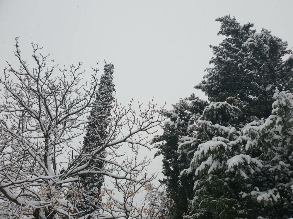 Prve pahulje su obradovale građane Podgorice još 8. januara kasno naveče, a već 9. ujutru cijeli grad je bio pokriven. Pokažite nam kako vaš dio grada izgleda pod snijegom tako što ćete poslati fotke na mail portal@vijesti.me ili na našu FB ili Instagram stranicu!