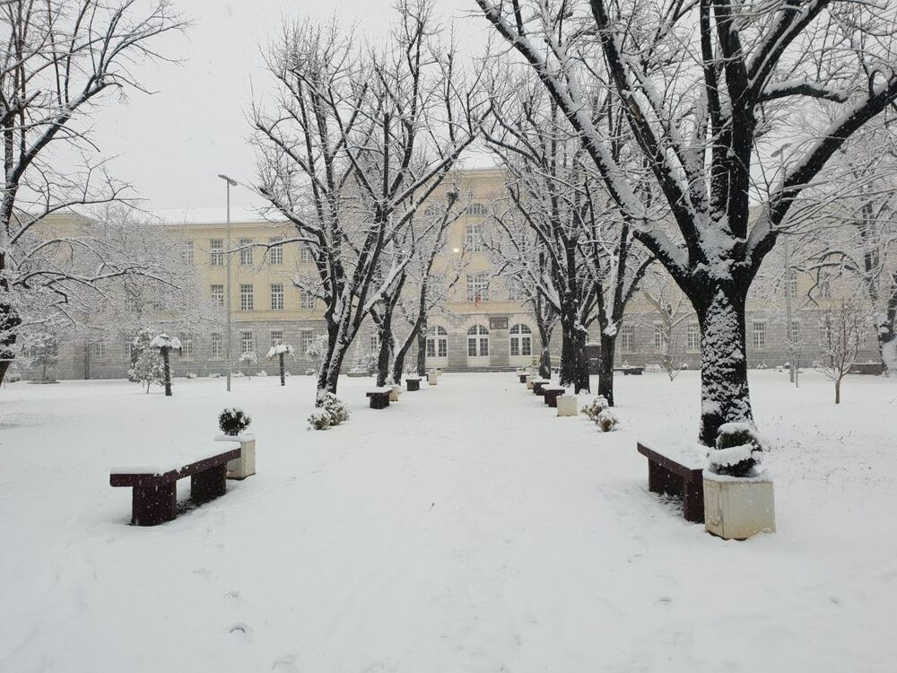 Prve pahulje su obradovale građane Podgorice još 8. januara kasno naveče, a već 9. ujutru cijeli grad je bio pokriven. Pokažite nam kako vaš dio grada izgleda pod snijegom tako što ćete poslati fotke na mail portal@vijesti.me ili na našu FB ili Instagram stranicu!